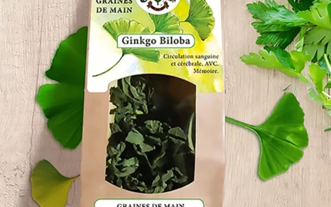 Illustration de gingko biloba pour étiquette de packaging.