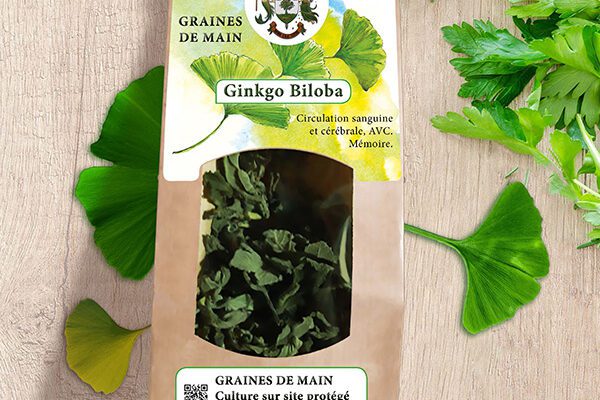 Illustration de ginko pour packaging.